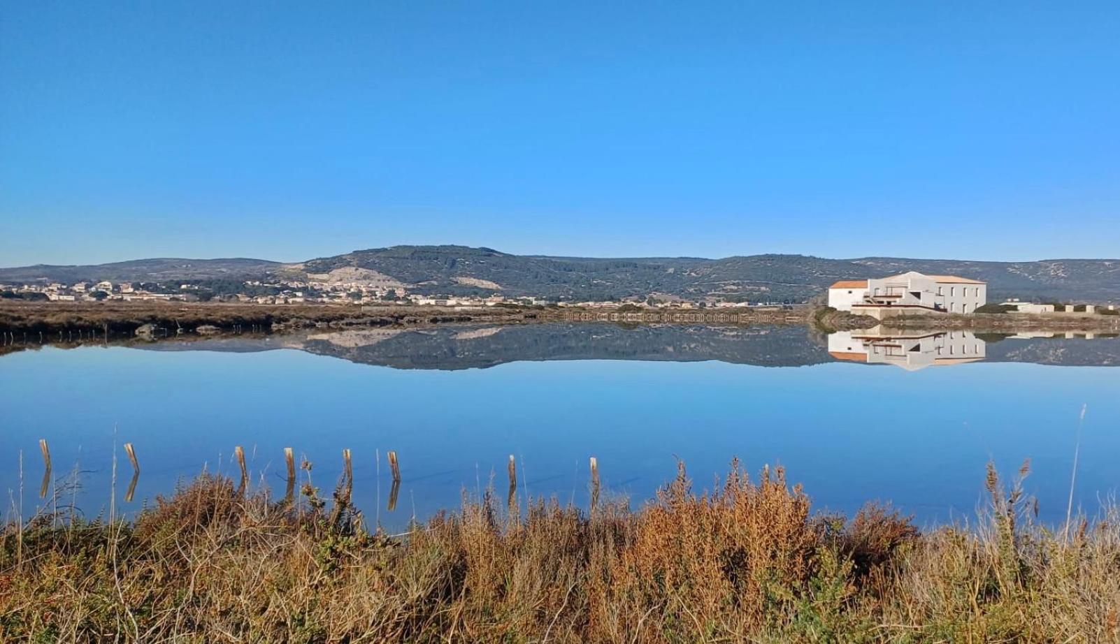 Le Nautica Plage T2 Climatise En Bord De Mer Frontignan Exteriör bild